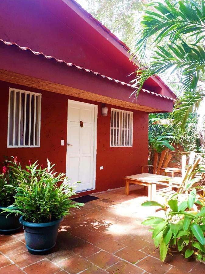 Hotel Casa Mapache Tamarindo Exterior foto
